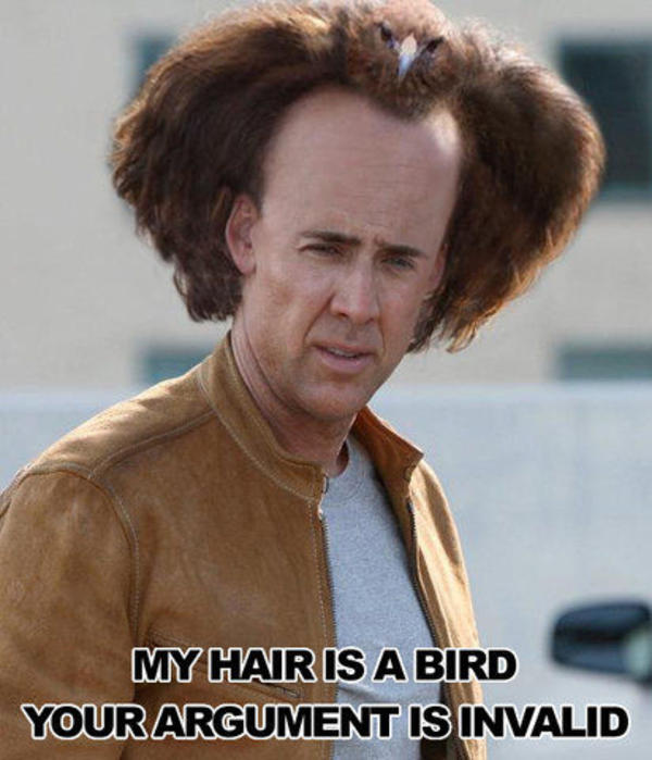hairbird.jpeg