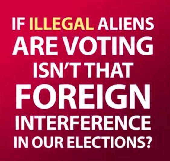 illegalvoting.jpg