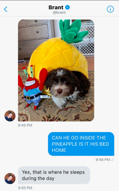 Screen Shot 2018-07-24 at 8.37.16 AM.png