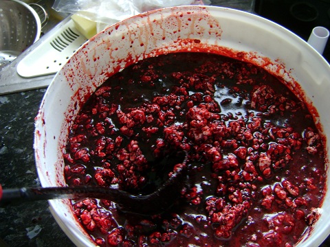 blood_and_fat.jpg