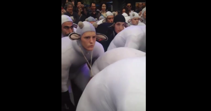 confusedsheep1.png