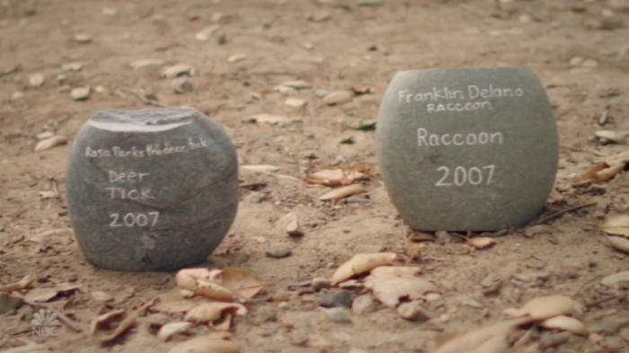 The-Good-Place-Animal-Headstones-1.png