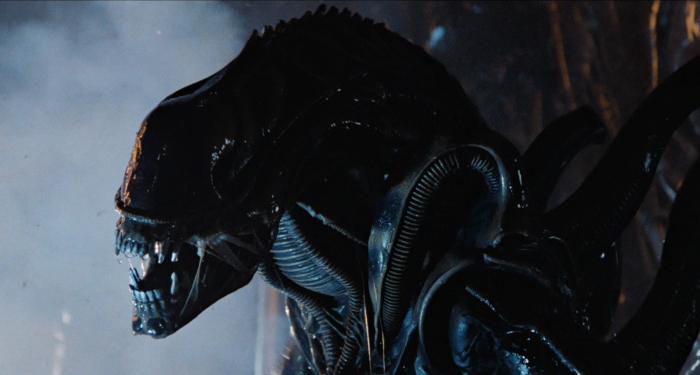 misunderstood-xenomorph.jpg
