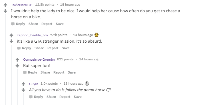 scooter-helps-woman-catch-horse-reddit1.png