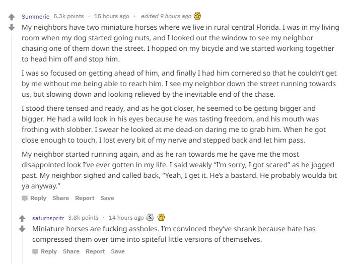 scooter-helps-woman-catch-horse-reddit2.png