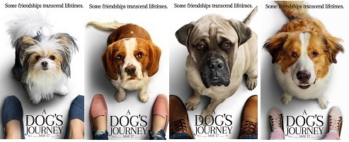 ADogsJourneyBaileyBigDogMollyMax1.jpg