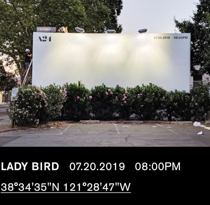 LadyBird-PublicAccess.jpg