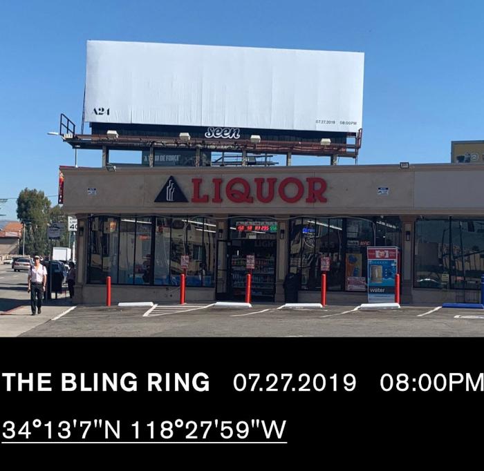 The Bling Ring Public Access.jpg