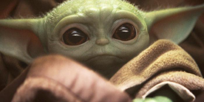 baby yoda.jpg
