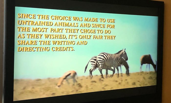 Roar-opening-credit-1.jpg