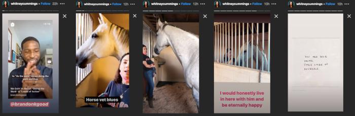 Whitney-Cummings-Instagram-August32020.jpg