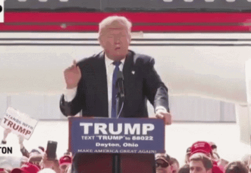 bravetrump.gif