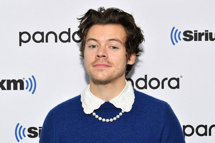 Harry-Styles-smirk-1209917934.jpg