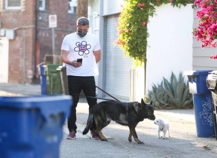 Ben Affleck avec Dog Getty.jpg