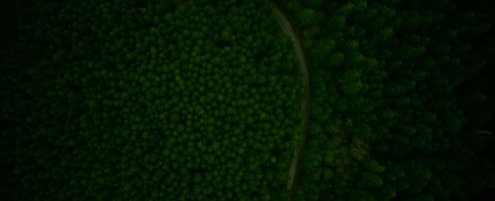 green-room-forests.png