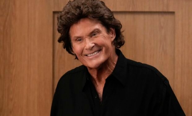 David-Hasselhoff.jpg