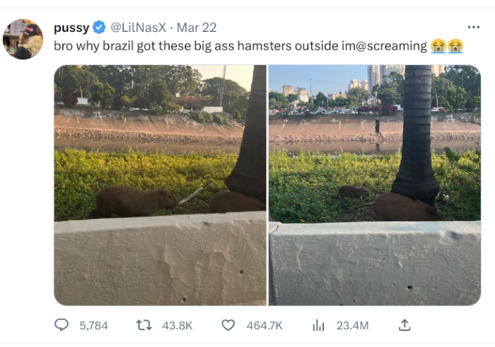 Lil NasX Tweet 2023-03-25 2.29.05 AM.png
