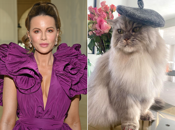 kate beckinsale clive the cat tat.png