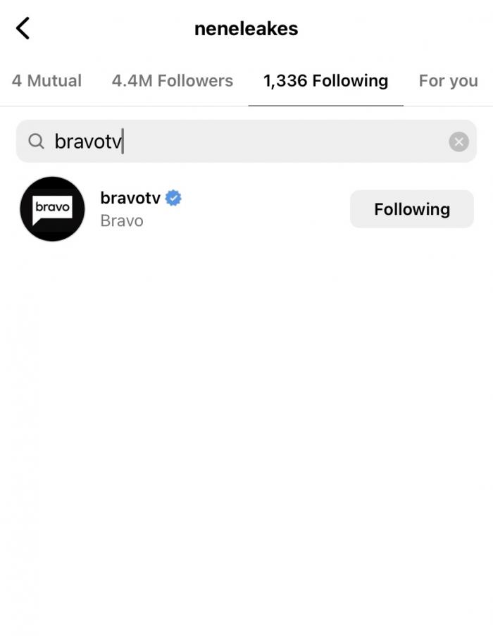 NeNeLeakesInstagram.jpeg