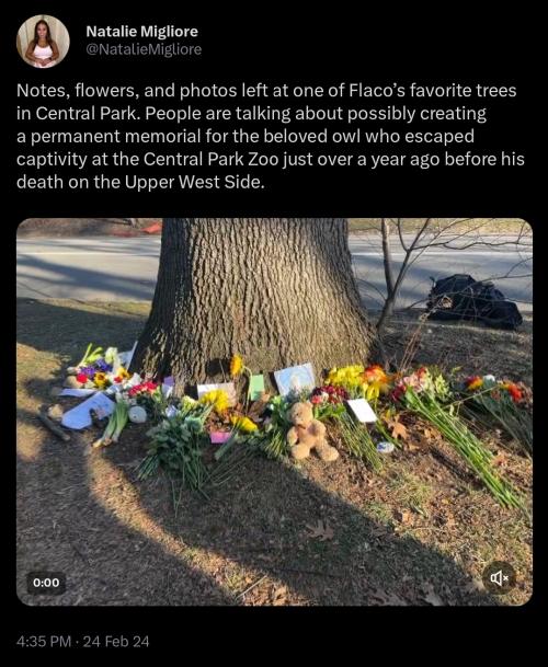36921af79052269df638b4acdabef28a1e360b17.jpg
