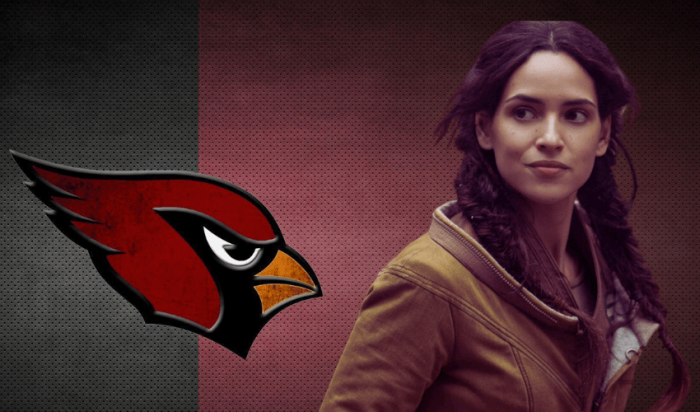 NFLCHARACTERsxxx11111ari.png