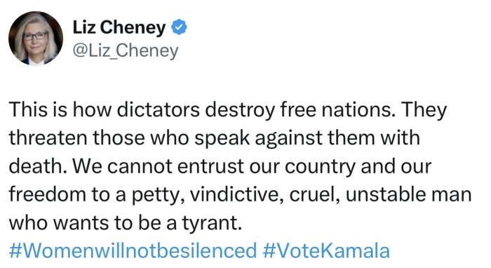 cheney-response.png