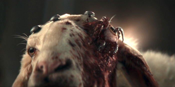 Alien Earth finale.png